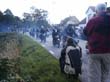 PICT2029