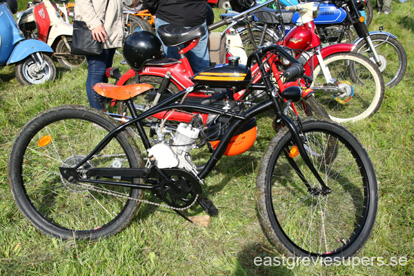 7S0A1885